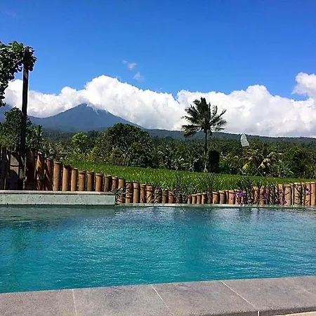 The Aroma Munduk - Honeymoon Villa Rice Field View