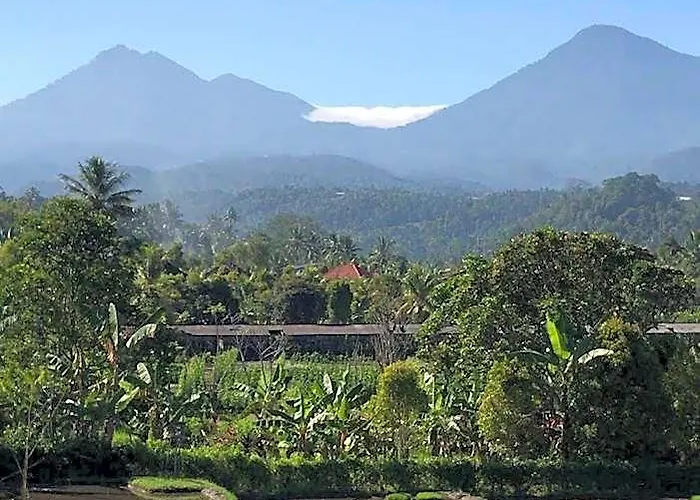 The Aroma Munduk - Honeymoon Rice Field View ホテル 4*
