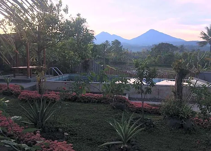 The Aroma Munduk - Honeymoon Rice Field View ホテル