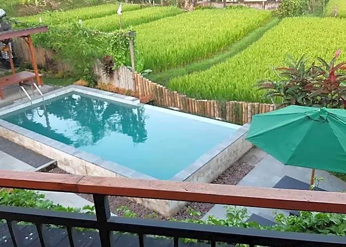 The Aroma Munduk - Honeymoon Rice Field View ホテル バリ島