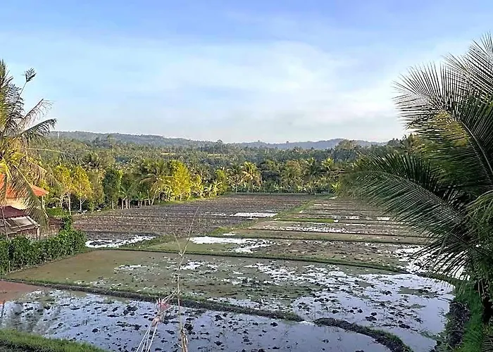 The Aroma Munduk - Honeymoon Rice Field View 4* バリ島