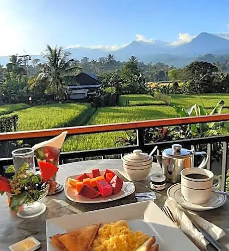 The Aroma Munduk - Honeymoon Rice Field View
